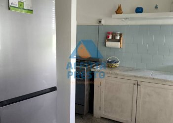 Foto 4 - Casa indipendente Pietrasanta - foto 4