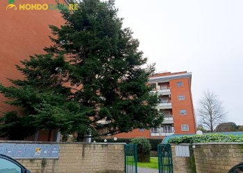 Foto 1 - Quadrilocale via aldo moro
 
38, Monterotondo - foto 1