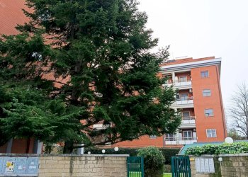 Foto 38 - Quadrilocale via aldo moro
 
38, Monterotondo - foto 38