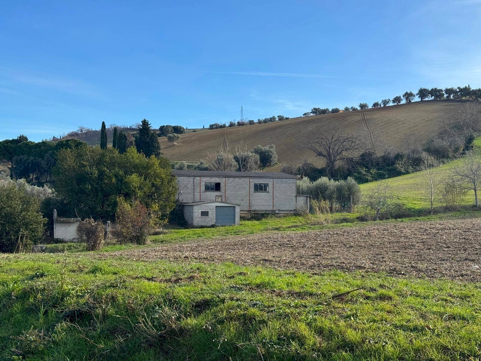 Foto 2 - Terreno agricolo SP 102
 
snc, Fermo - foto 2