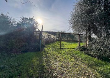 Foto 8 - Terreno agricolo SP 102
snc, Fermo - foto 8