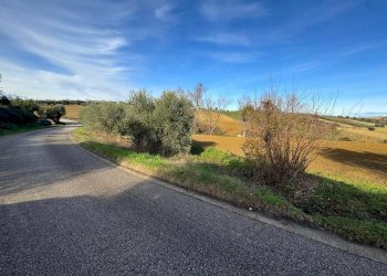 Foto 9 - Terreno agricolo SP 102
snc, Fermo - foto 9