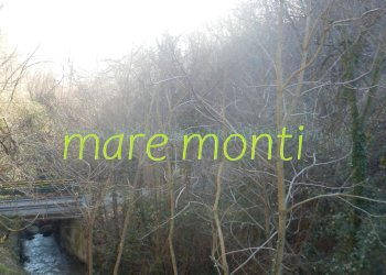 Foto 27 - Casa indipendente località corona, Stella - foto 27