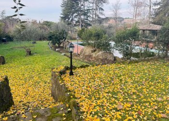 Foto 18 - Villa Via Spinabella
 
3, Marino - foto 18