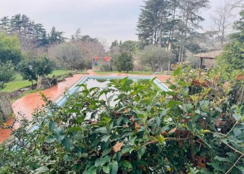 Foto 34 - Villa Via Spinabella
 
3, Marino - foto 34