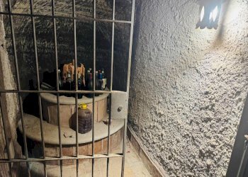 Foto 53 - Villa Via Spinabella
 
3, Marino - foto 53