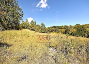 Foto 3 - Rustico CONTRADA FAVETO, Montefalcone Appennino - foto 3