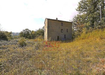 Foto 6 - Rustico CONTRADA FAVETO, Montefalcone Appennino - foto 6