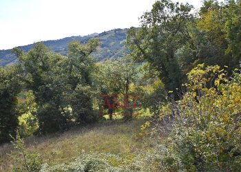 Foto 31 - Rustico CONTRADA FAVETO, Montefalcone Appennino - foto 31