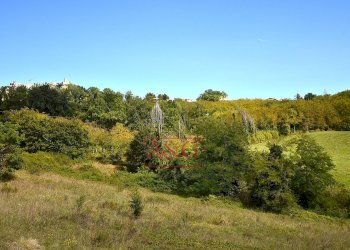 Foto 32 - Rustico CONTRADA FAVETO, Montefalcone Appennino - foto 32