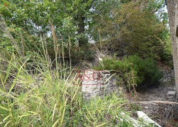 Foto 33 - Rustico CONTRADA FAVETO, Montefalcone Appennino - foto 33