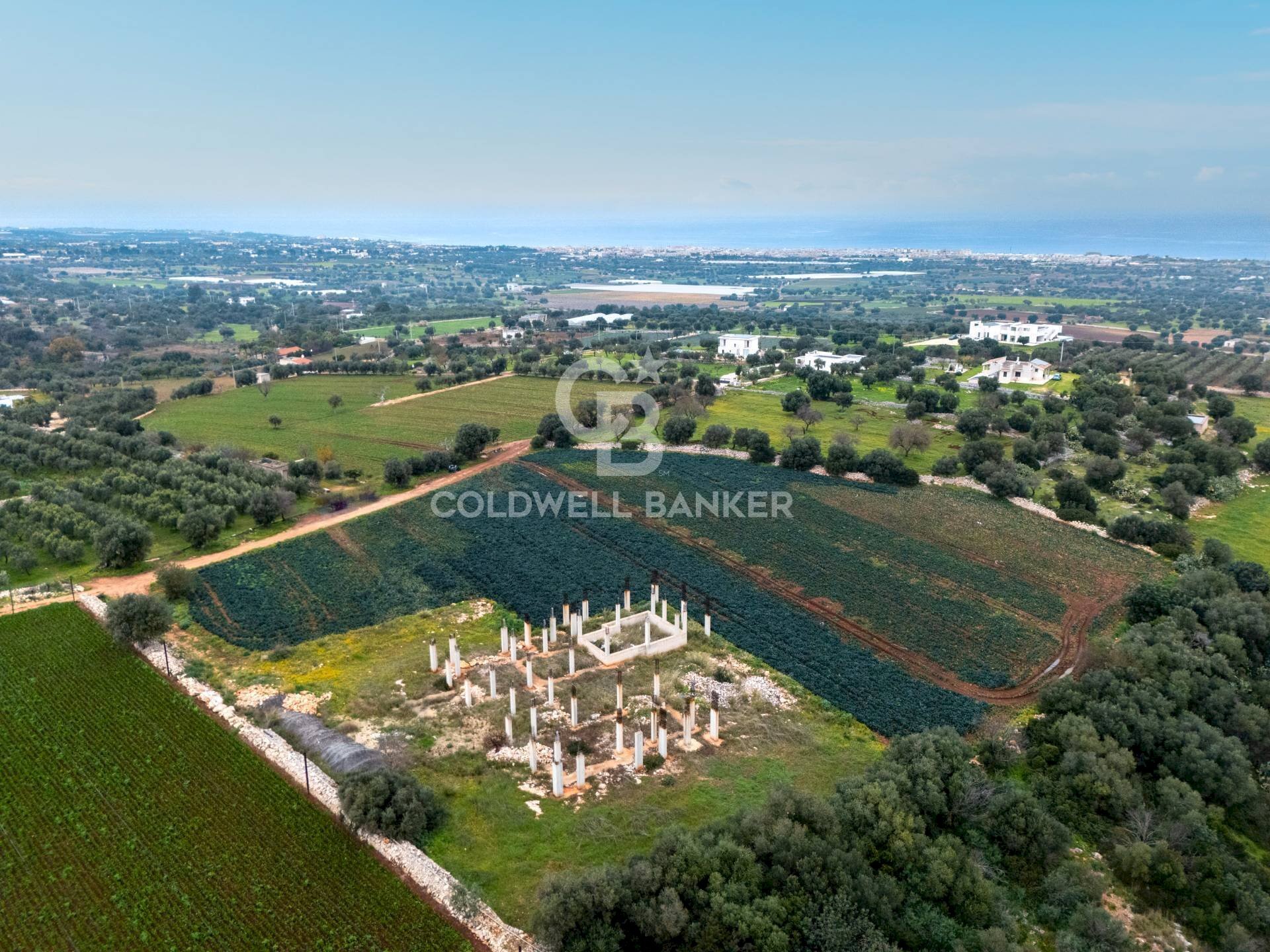Foto 3 - Terreno agricolo Contrada Mellone, Polignano a Mare - foto 3
