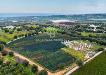 Foto 1 - Terreno agricolo Contrada Mellone, Polignano a Mare - foto 1