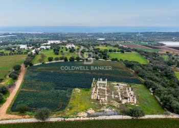 Foto 2 - Terreno agricolo Contrada Mellone, Polignano a Mare - foto 2