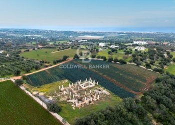 Foto 3 - Terreno agricolo Contrada Mellone, Polignano a Mare - foto 3