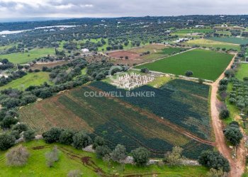Foto 4 - Terreno agricolo Contrada Mellone, Polignano a Mare - foto 4