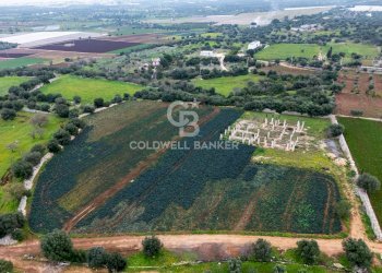 Foto 5 - Terreno agricolo Contrada Mellone, Polignano a Mare - foto 5