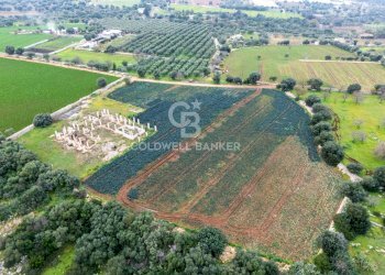 Foto 6 - Terreno agricolo Contrada Mellone, Polignano a Mare - foto 6