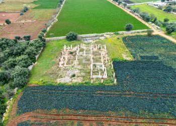 Foto 8 - Terreno agricolo Contrada Mellone, Polignano a Mare - foto 8