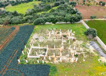Foto 9 - Terreno agricolo Contrada Mellone, Polignano a Mare - foto 9