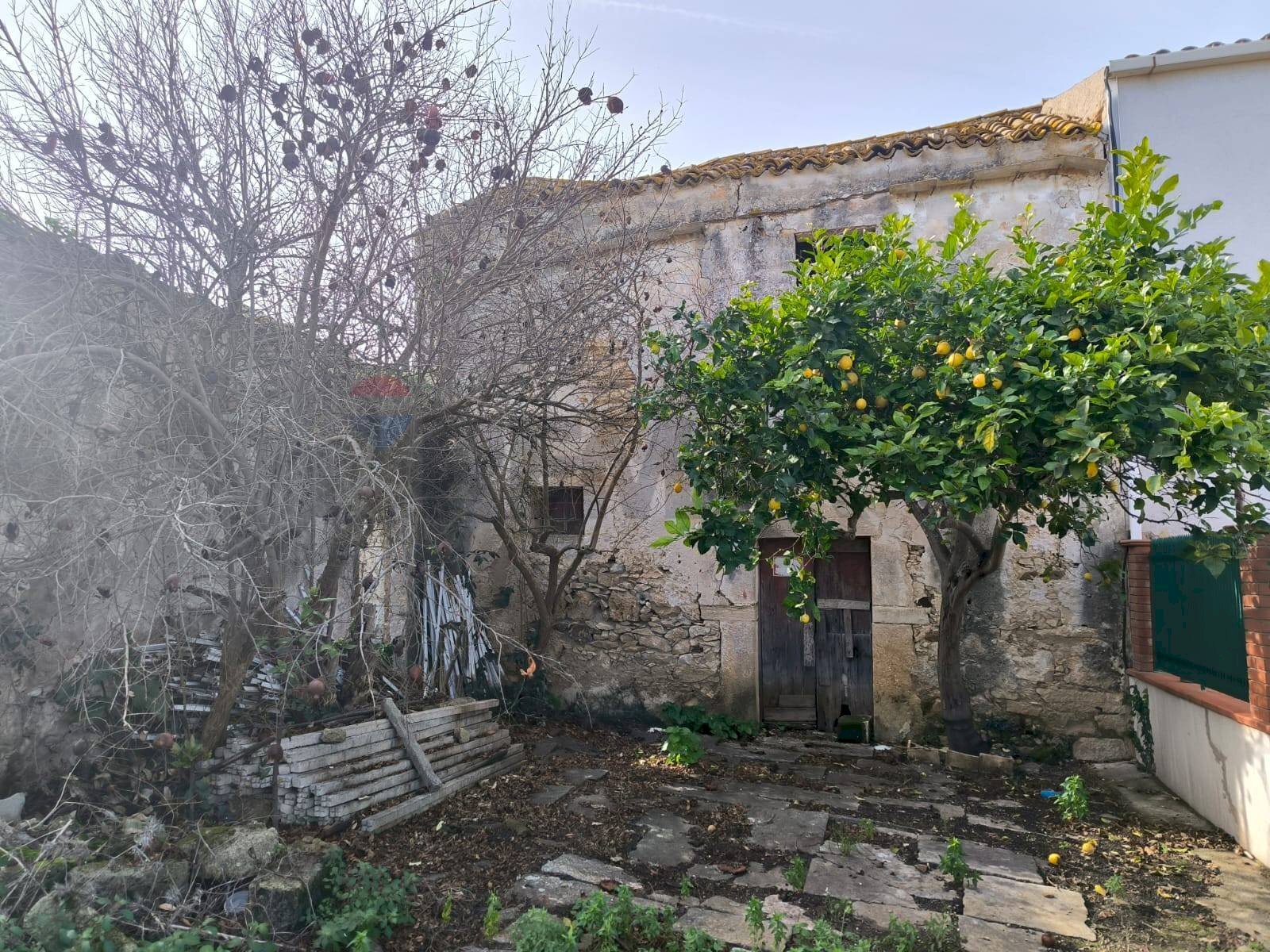 Giardino - Casa indipendente Via Castellammare, Valderice - foto 2