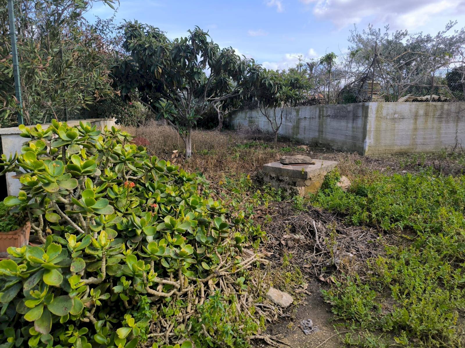 Giardino - Casa indipendente Via Castellammare, Valderice - foto 3