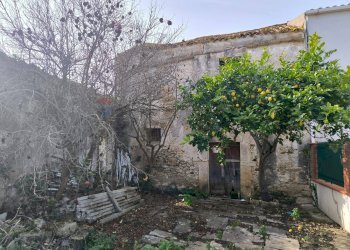 Giardino - Casa indipendente Via Castellammare, Valderice - foto 2