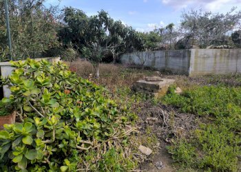 Giardino - Casa indipendente Via Castellammare, Valderice - foto 3