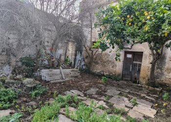 Giardino - Casa indipendente Via Castellammare, Valderice - foto 1