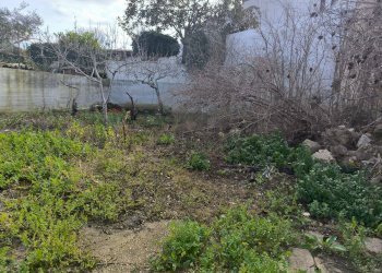 Giardino - Casa indipendente Via Castellammare, Valderice - foto 6