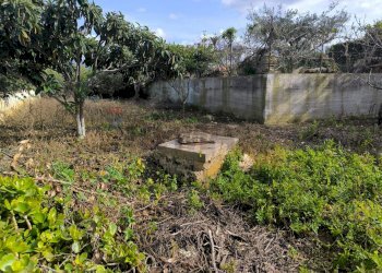 Giardino - Casa indipendente Via Castellammare, Valderice - foto 8