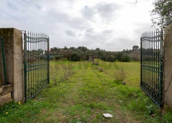 Giardino - Villa Contrada Bisamore
 
snc, Grammichele - foto 4