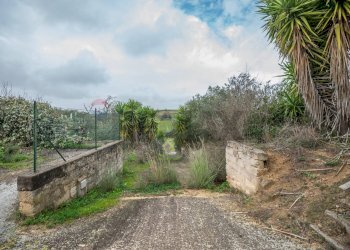 Giardino - Villa Contrada Bisamore
 
snc, Grammichele - foto 5