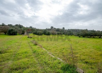 Giardino - Villa Contrada Bisamore
 
snc, Grammichele - foto 25