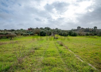 Giardino - Villa Contrada Bisamore
 
snc, Grammichele - foto 26