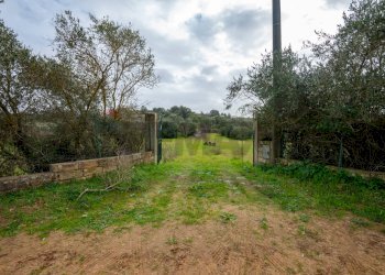 Giardino - Villa Contrada Bisamore
 
snc, Grammichele - foto 27