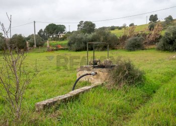 Giardino - Villa Contrada Bisamore
 
snc, Grammichele - foto 30