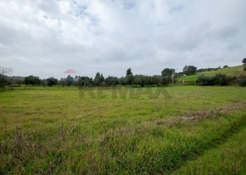 Giardino - Villa Contrada Bisamore
 
snc, Grammichele - foto 31