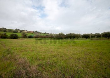 Giardino - Villa Contrada Bisamore
 
snc, Grammichele - foto 32