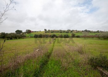 Giardino - Villa Contrada Bisamore
 
snc, Grammichele - foto 33