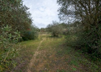 Giardino - Villa Contrada Bisamore
 
snc, Grammichele - foto 34