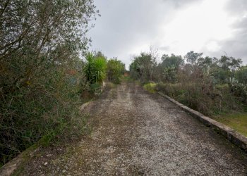 Giardino - Villa Contrada Bisamore
 
snc, Grammichele - foto 35