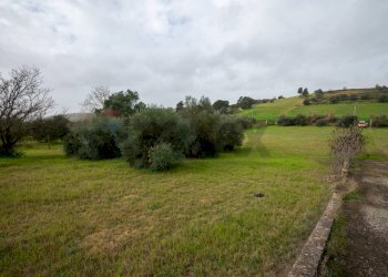 Giardino - Villa Contrada Bisamore
 
snc, Grammichele - foto 36