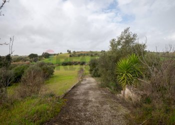 Giardino - Villa Contrada Bisamore
 
snc, Grammichele - foto 37