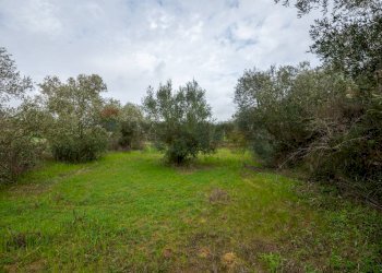 Giardino - Villa Contrada Bisamore
 
snc, Grammichele - foto 38