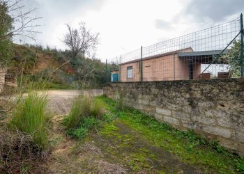 Giardino - Villa Contrada Bisamore
 
snc, Grammichele - foto 39