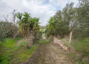 Giardino - Villa Contrada Bisamore
 
snc, Grammichele - foto 40