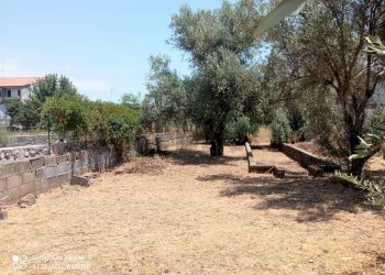 Giardino - Terreno edificabile Via grotta del signore
Sn, San Pietro Clarenza - foto 7