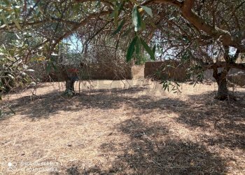 Giardino - Terreno edificabile Via grotta del signore
Sn, San Pietro Clarenza - foto 8