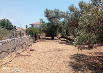 Giardino - Terreno edificabile Via grotta del signore
Sn, San Pietro Clarenza - foto 9